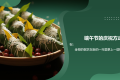 关于我们--学棋吧 www.xueqiba.com